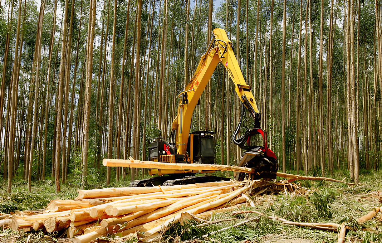 Sustainable Harvesting