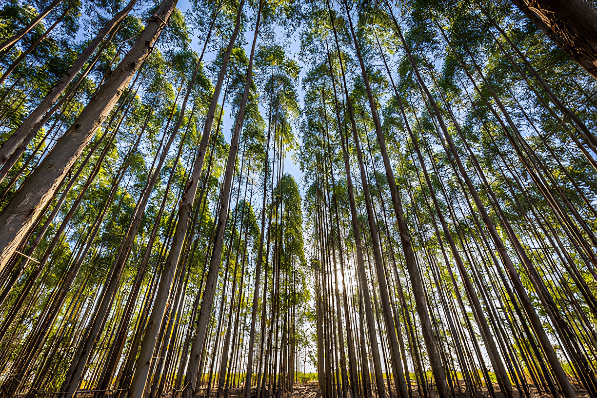 Orgatek content image